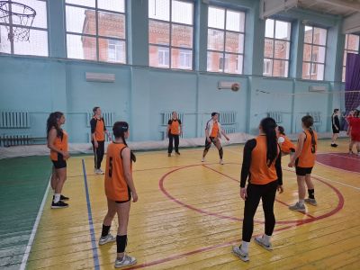 на сайт волейбол 2026